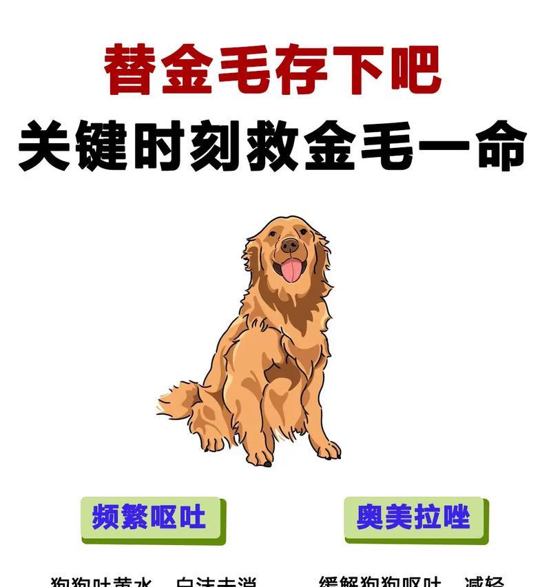 小狗狗呕吐的原因分析（探索小狗狗呕吐背后的问题）