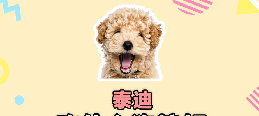 灰泰迪的饮食要求与狗粮推荐（营养均衡的狗粮，满足灰泰迪的味蕾与健康需求）