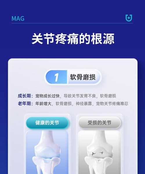 金毛关节囊肿的药物治疗方案（探索金毛关节囊肿的药物疗法，改善病情）