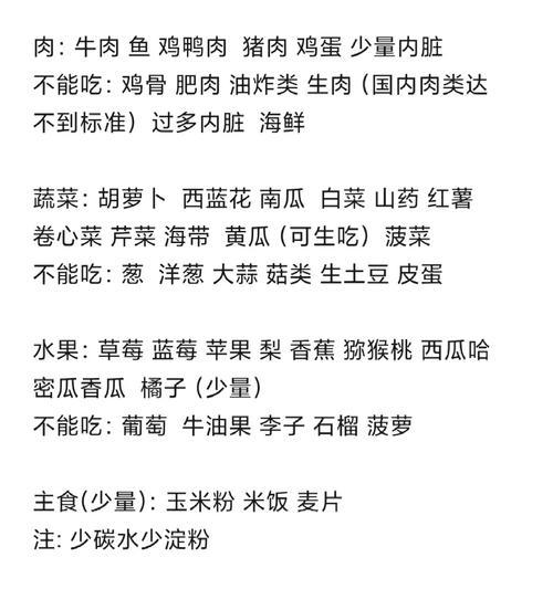 边牧怀孕期应该如何科学饮食？（营养均衡，健康宝宝更易孕育）
