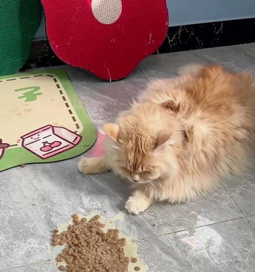 猫咪软便是什么样的？（探索猫咪健康问题中的软便现象）
