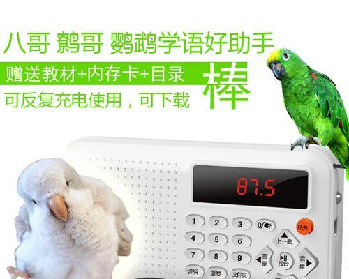 用何种方法可以教鹩哥说话？（探索有效的训练鹩哥说话的方法）