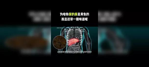 小便异味特别大的原因及解决方法（探寻臭味源头，拯救尴尬瞬间）