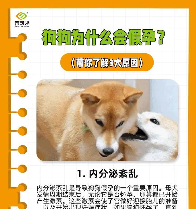 为什么狗狗会蹭人？（探究狗狗蹭人的原因与行为动机）