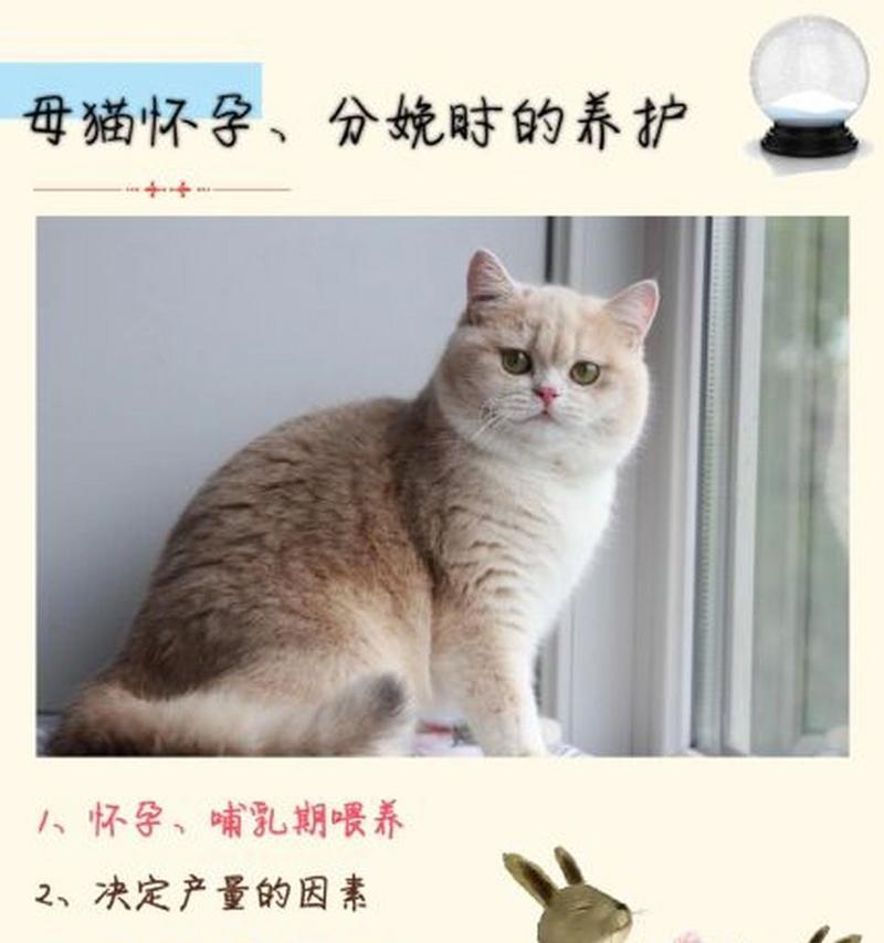 猫咪怀孕期间禁忌饮食的注意事项（为了宝宝的健康，这些食物猫咪怀孕时不能吃！）