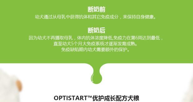 贵宾小狗断奶时间及注意事项（从什么时候开始断奶？如何正确进行断奶？）