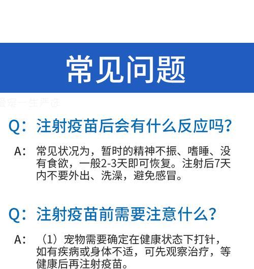 小猫打疫苗的必要性与程序（保护小猫健康，预防疾病）