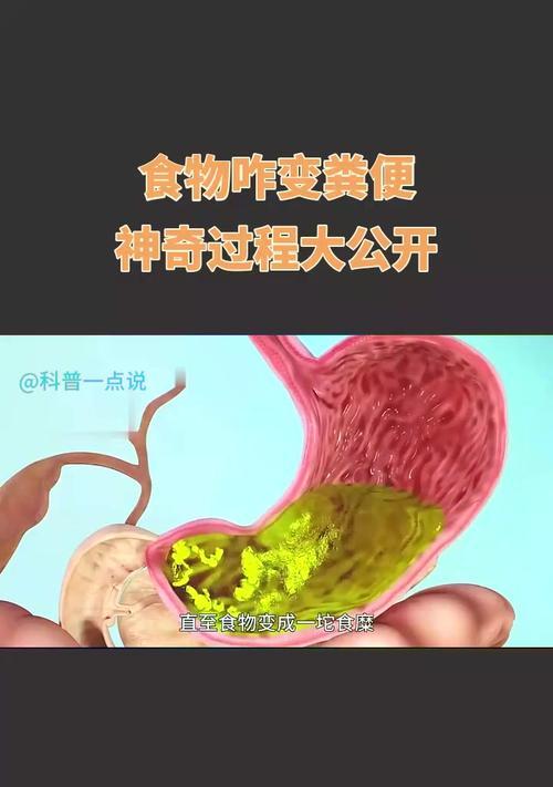 大便改变的原因及影响（探索大便变化的关键因素与其对健康的影响）