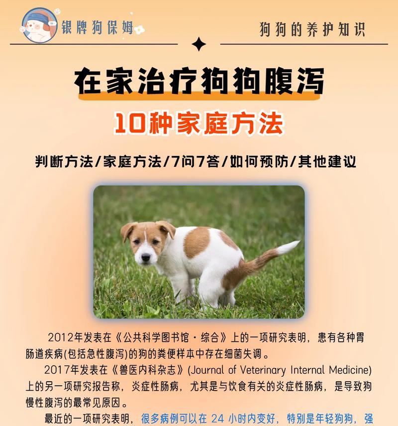 狗拉肚子后适宜食用的食物及注意事项（帮助狗狗恢复健康的营养食物和正确饮食管理方法）