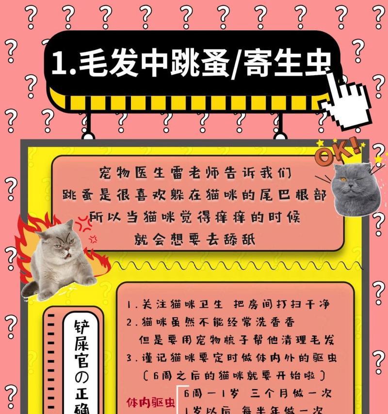 大猫舔小猫的意义（探讨大猫舔小猫行为的动物界意义和人类情感交流）