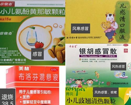 小狗发烧应该吃哪种消炎药？（了解小狗发烧的原因和治疗方案）