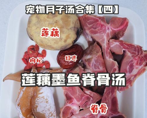 狗生完小狗后如何选择合适的下奶食物（了解母犬下奶所需的营养和食物选择）