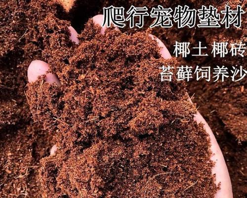 以巴西龟冬眠沙子选择的关键因素（为巴西龟冬眠选择合适的沙子类型）