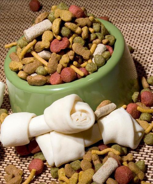 增进狗狗食欲的有效方法（让你的爱犬充满食欲的秘诀大揭秘）