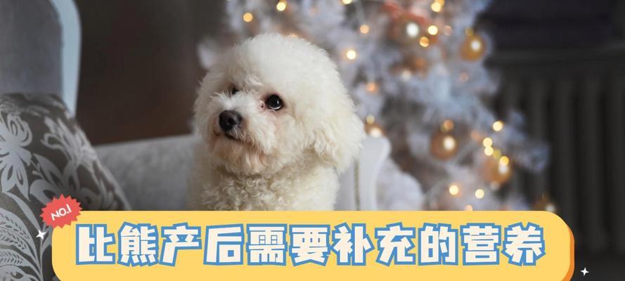 如何帮助狗狗安全闭奶（探索最佳的饮食方案，帮助狗狗顺利闭奶）