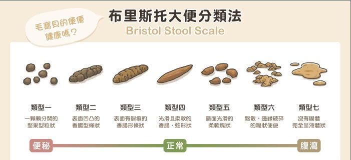 探究哪种宠物的粪便最臭？（与其相处，还是闻闻就好）