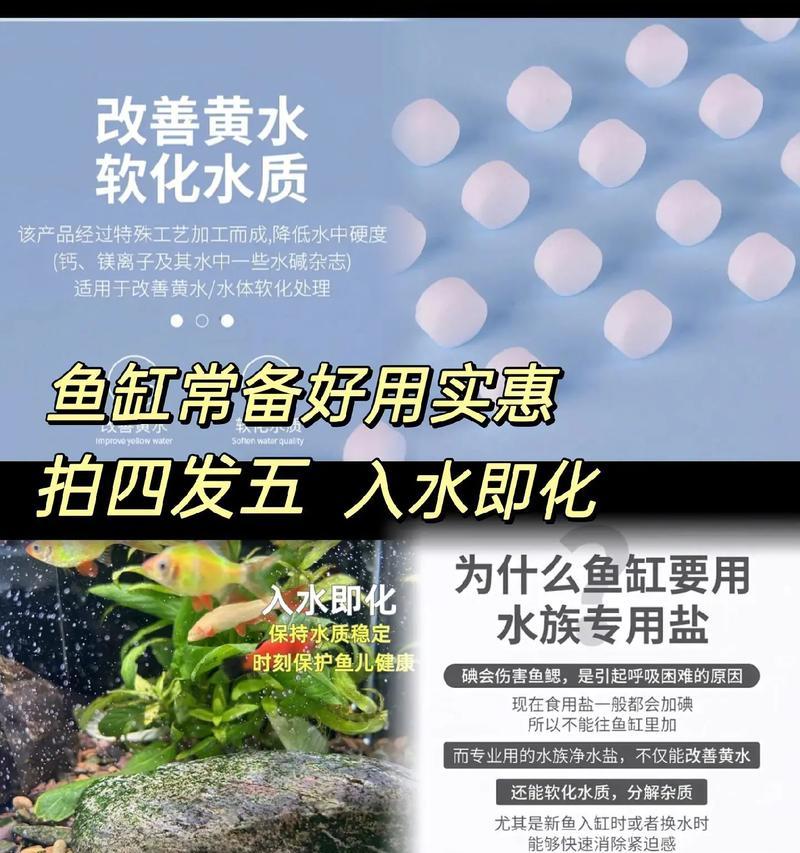 选择合适的水藻养鱼，打造清新健康的水族环境（以养鱼用什么水藻？探究最佳选择与养护技巧）