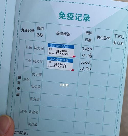 狗狗打疫苗的重要性与时间安排（宠物犬接种疫苗的必要性和最佳时间选择）