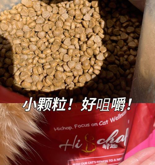 小猫咪15天后可以吃什么？（了解小猫咪在不同阶段的饮食需求）