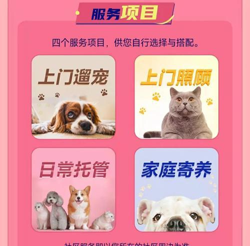 网络遛狗的意义与益处（利用网络遛狗改善宠物生活质量）