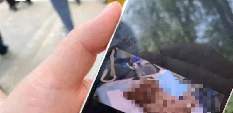 老年狗昏厥的原因及预防措施（老年狗昏厥的常见原因及如何保护你的宠物）