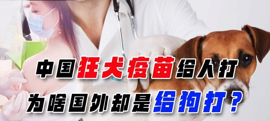 为什么我们仍然需要接种疫苗？（保护个人和社会健康的必要性）