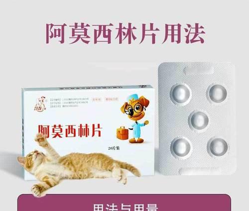 猫吹空调感冒怎么办？（选择合适的药物是关键）
