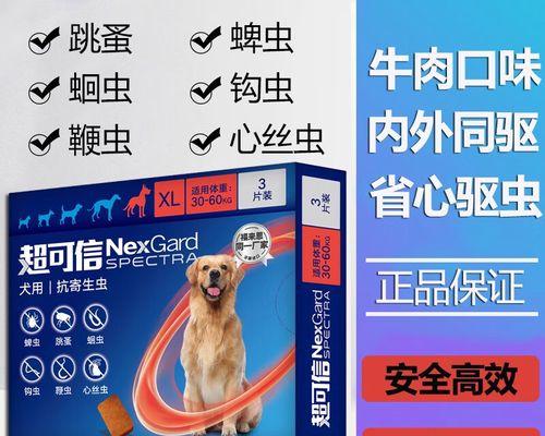 博美驱虫指南（养博美，驱虫要注意什么？）