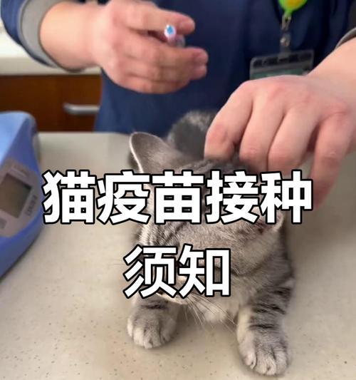 打完疫苗后需注意的事项（保护自己和他人的关键举措）