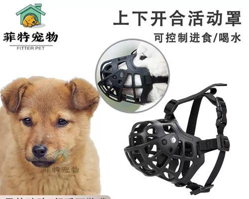 狗狗的最爱（选择合适的宠物用品，让你的狗狗健康快乐）