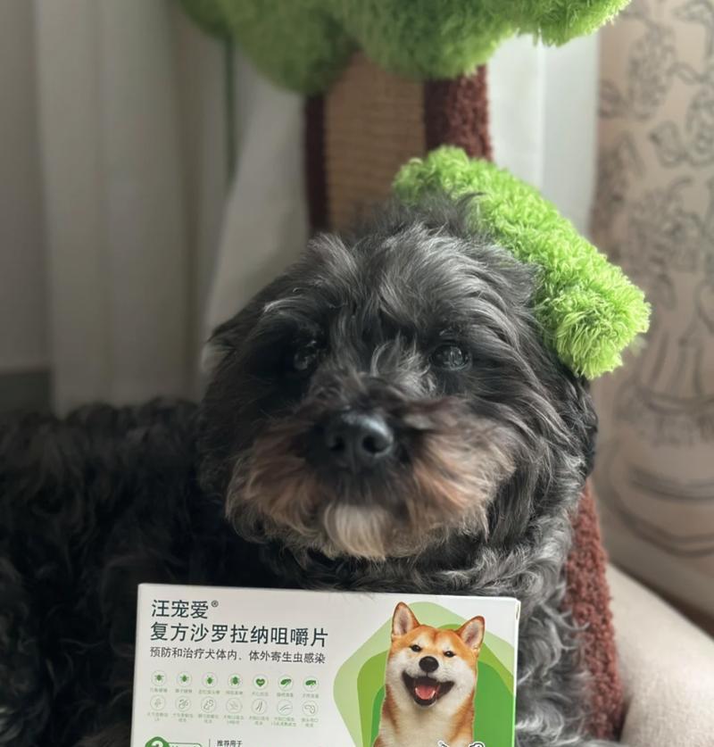 选择狗狗驱虫产品，寻找最好的牌子（了解狗狗驱虫产品，为宠物健康保驾护航）