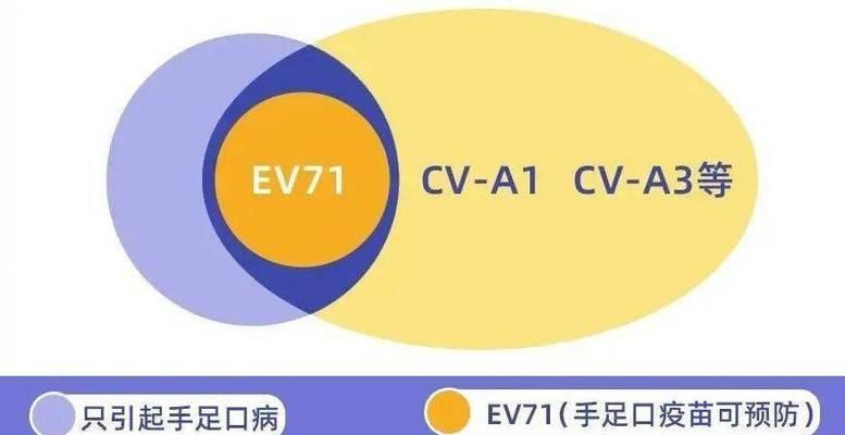 什么病疫苗不可以打？（了解不可接种的疫苗种类与原因，保障健康）