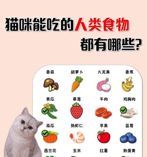 小猫咪的饮食禁忌（了解猫咪不能吃的食物，守护它们的健康）