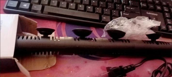 如何给龟加热（有效方法和注意事项）