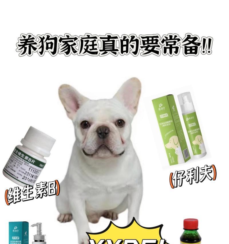 狗洗药浴的好处和使用方法（让你的爱犬保持健康亮丽的毛发，）
