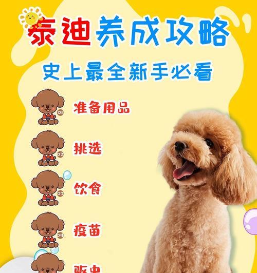 泰迪打完疫苗后不大便的原因及解决方法（探究泰迪打完疫苗后便秘的影响因素与治疗方式）