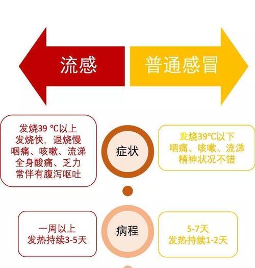 贵宾犬育苗（重要性与最佳时机、副作用与预防措施、专业兽医指导）