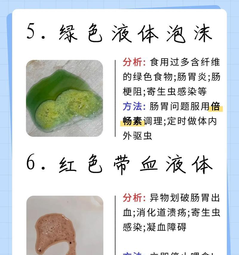 2月龄狗狗呕吐的原因及应对方法（小狗为什么会呕吐，如何帮助它恢复健康）