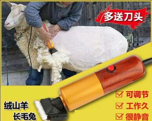 宠物推子与人用推子的区别（了解宠物推子和人用推子的功能差异及适用范围）