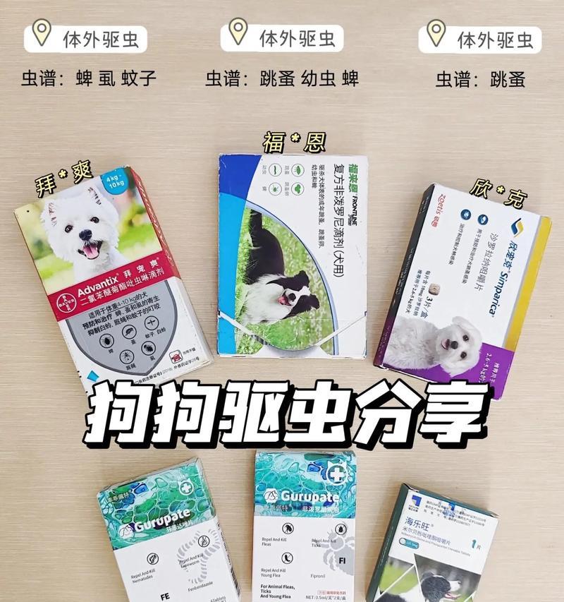 宠物狗狗驱虫必备，选择何种牌子最佳？（为狗狗健康加分，掌握驱虫品牌关键信息）