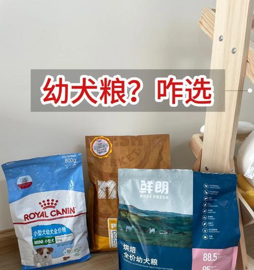 小狗可以喝什么牛奶？（了解小狗的牛奶选择以及喂养注意事项）
