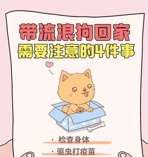 8个月大的狗狗的常见病及预防措施（关注狗狗健康，守护它的成长）