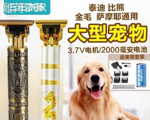 给狗狗剃毛的好处（为宠物犬剃毛，让它健康舒适）