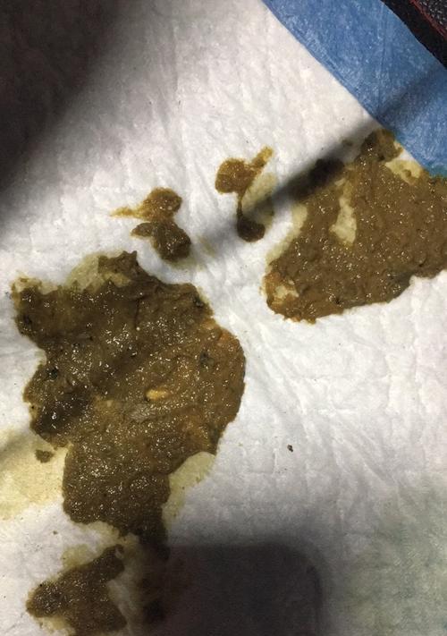 狗狗拉肚子后的饮食调理（合适的饮食有助于缓解狗狗拉肚子的症状）