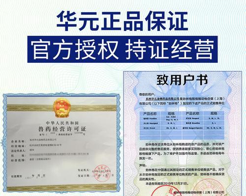 泰迪狗吐吃什么药好？（专家推荐，让你的泰迪远离呕吐困扰！）