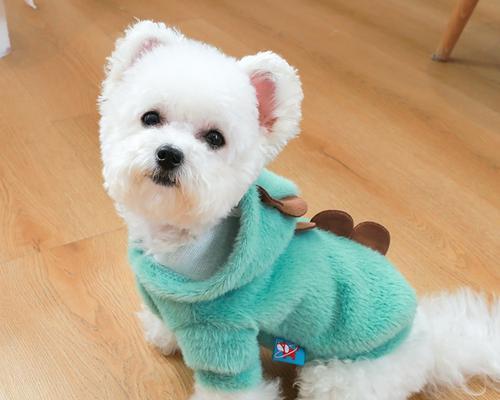 如何解决幼犬咬衣服问题（了解幼犬咬衣服的原因与解决方法）