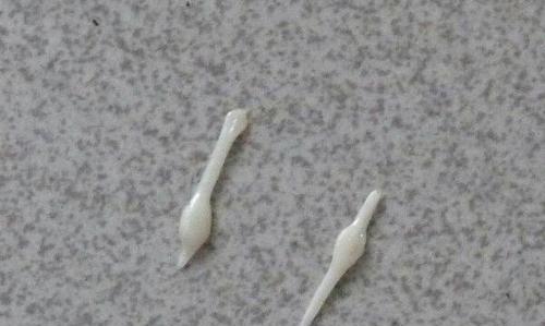幼犬驱虫后虫子的样貌（驱虫后幼犬体内虫子的变化情况）
