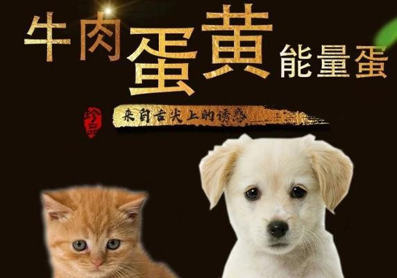 如何给狗狗补充能量？（探索狗狗能量补充的最佳药物选择）