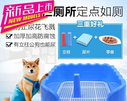 让狗狗的屎变废为宝的妙招！（如何巧妙处理狗狗的排泄物，让环境更加清洁舒适）