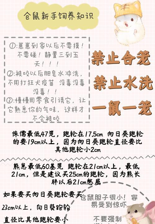 仓鼠为什么不吃东西？（探究仓鼠进食行为的原因及其对健康的影响）